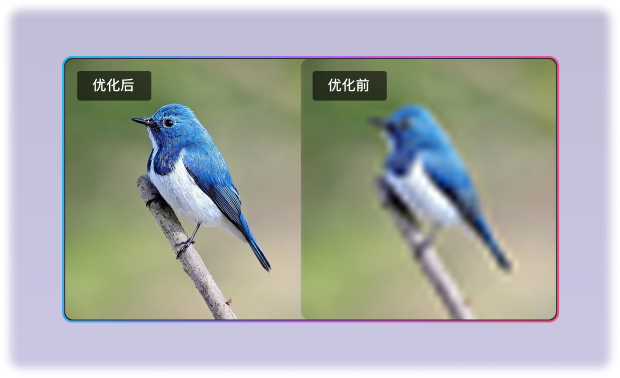 Left Image